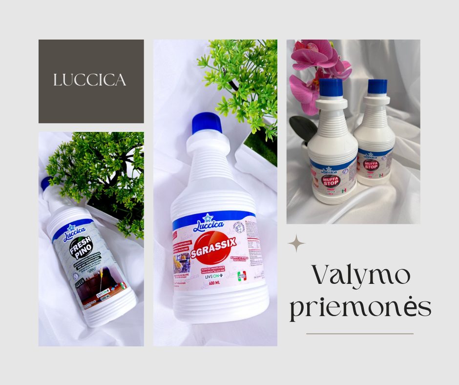 Profesionalios ir buitinės valymo priemonės iš Italijos