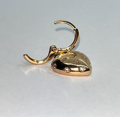 MEDICININIO METALO AUSKARAI